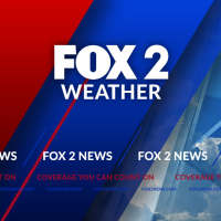 Fox 2 St Louis Weather on 9Apps