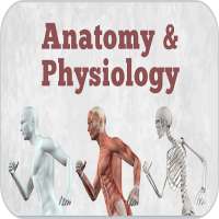 Human Anatomy & Physiology on 9Apps