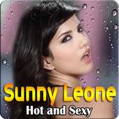 Sunny Hot Videos