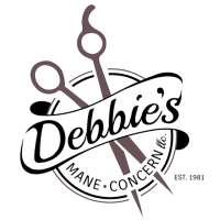 Debbie's Mane Concern, LLC