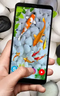 KOI Fish Live Wallpaper APK Download 2023 - Free - 9Apps KOI Fish Live Wallpaper APK Download 2023 - Free - 9Apps