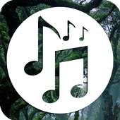 Forest Sounds - Relax Music , Forest Music on 9Apps