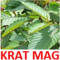 kratom magazine on 9Apps