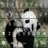 Tema Keyboard Panda Lucu