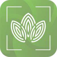 Plant Identification - Plant, Leaf, Flower on 9Apps