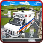 Flying Ambulance Doctor