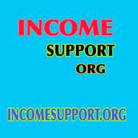 Income Support Mini