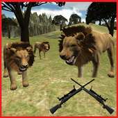 Singa berburu pembantaian