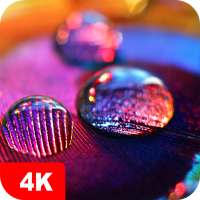 Makro-Hintergrundbilder 4K