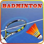 Badminton 3D