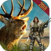 Wild Deer Hunting Animal Simulator Game