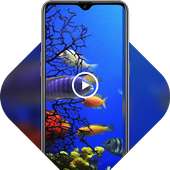 Colorful cute underwater fish live wallpaper
