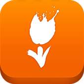 Visit Holland on 9Apps