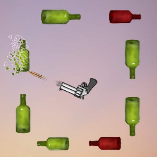 Bottle Shooter Game