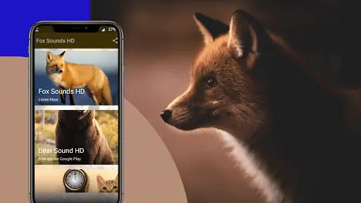 Fox Sounds APK Download 2023 - Free - 9Apps Fox Sounds APK Download 2023 - Free - 9Apps