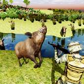 خنزير بري الصيد: لعبة اطلاق النار قناص 3D