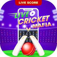 Cricket Mafia : Fast Cricket