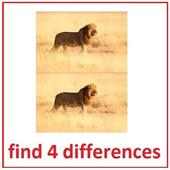 images differences game
