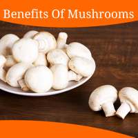 Health Benefits Of Mushrooms on 9Apps