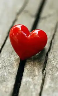 Love HD Mobile Wallpaper APK Download 2023 - Free - 9Apps Love HD Mobile Wallpaper APK Download 2023 - Free - 9Apps