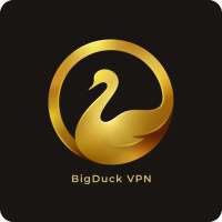 Big Duck: Free Premium VPN 2020