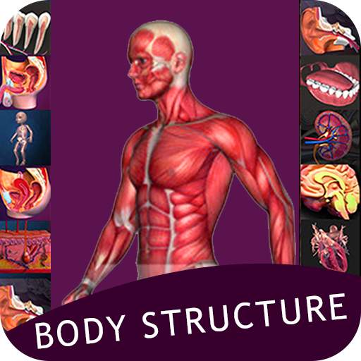 Human Body System – All Body System Offline