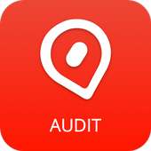 Oyo Audit App