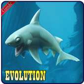 Guide Hungry Shark Evolution