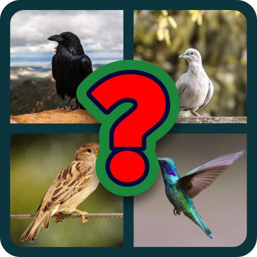Guess the Birds