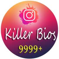 The Best Bio Instagram, Ideas, and Examples 2020
