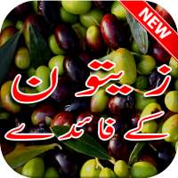 Zaitoon ke Faide on 9Apps