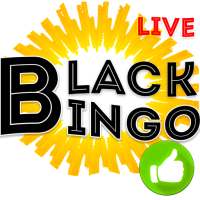 Bingo Live Black Edition Money Game Lotto online $
