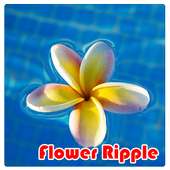 Flower Ripple Live Wallpaper