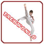 Taekwondo Training Program on 9Apps