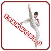 Taekwondo Training Program