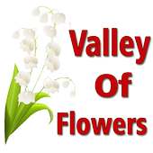 Valley of Flowers 🌷 on 9Apps