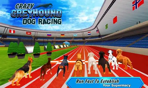 Crazy Dog Racing APK for Android Download