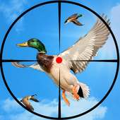 pájaro juegos de caza: francotirador juegos