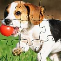 Dog Jigsaw Puzzles - Play Family Games ❤️🐶