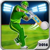 T20 Cricket World Cup Game