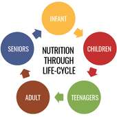 Nutrition through life cycle