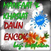 Manfaat dan Khasiat Daun Encok untuk Kesehatan on 9Apps