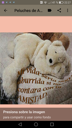 Peluches con frases online de amistad