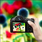 DSLR Camera Photo Effect