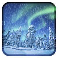 Aurora Winter Live Wallpaper on 9Apps