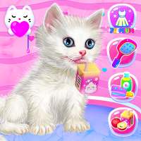Kitty Care and Grooming on 9Apps