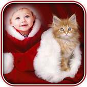 Cat Photo Frames on 9Apps