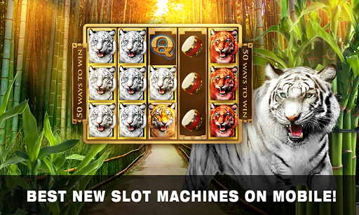 Slots Tiger King Casino Slots screenshot 2