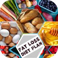Fat Loss Diet Plan on 9Apps