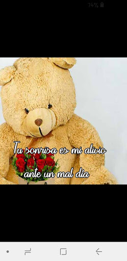 Osos de peluches sales con frases de amor